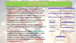Nested PCR is a modification of PCR intended to
reduce non-specific binding in products due to the
amplification of unexpected primer binding sites.
Nested polymerase chain reaction involves two sets
of primers, used in two successive runs of PCR.
The target DNA undergoes the first run of PCR with
the first set of primers, shown in green.
The product from the first reaction undergoes a
second run with the second set of primers, shown in
red.
The first set of primers also called “outer primers”
amplify a large fragment of the gene which is used
as a template in the second round of PCR that
targets a smaller region of the amplicon using the
second set of primers also known as “inner primers
or nested primers.”
NESTED PCR
 