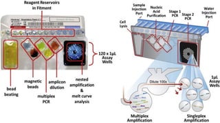 Comprehensive Overview of Polymerase Chain Reaction (PCR) Techniques and Applications