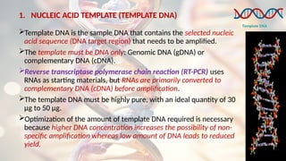 1. NUCLEIC ACID TEMPLATE (TEMPLATE DNA)
Template DNA is the sample DNA that contains the selected nucleic
acid sequence (DNA target region) that needs to be amplified.
The template must be DNA only: Genomic DNA (gDNA) or
complementary DNA (cDNA).
Reverse transcriptase polymerase chain reaction (RT-PCR) uses
RNAs as starting materials, but RNAs are primarily converted to
complementary DNA (cDNA) before amplification.
The template DNA must be highly pure, with an ideal quantity of 30
μg to 50 μg.
Optimization of the amount of template DNA required is necessary
because higher DNA concentration increases the possibility of non-
specific amplification whereas low amount of DNA leads to reduced
yield.
 