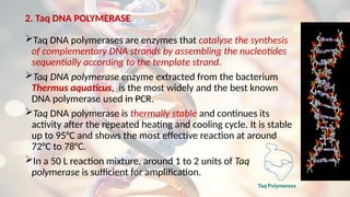 2. Taq DNA POLYMERASE
Taq DNA polymerases are enzymes that catalyse the synthesis
of complementary DNA strands by assembling the nucleotides
sequentially according to the template strand.
Taq DNA polymerase enzyme extracted from the bacterium
Thermus aquaticus, is the most widely and the best known
DNA polymerase used in PCR.
Taq DNA polymerase is thermally stable and continues its
activity after the repeated heating and cooling cycle. It is stable
up to 95°C and shows the most effective reaction at around
72°C to 78°C.
In a 50 L reaction mixture, around 1 to 2 units of Taq
polymerase is sufficient for amplification.
 