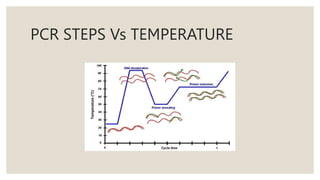 POLYMERASE CHAIN REACTION(PCR)-subina sunar.pptx