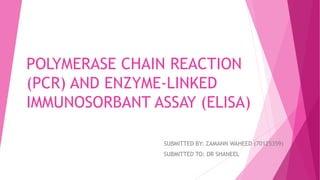 POLYMERASE CHAIN REACTION
(PCR) AND ENZYME-LINKED
IMMUNOSORBANT ASSAY (ELISA)
SUBMITTED BY: ZAMANN WAHEED (70125359)
SUBMITTED TO: DR SHANEEL
 