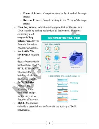 Polymerase Chain Reaction (PCR) & RT-(PCR) for B.Sc. Biotech/Botany Sem ...