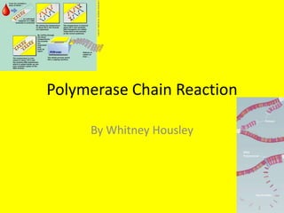 Polymerase Chain Reaction

     By Whitney Housley
 