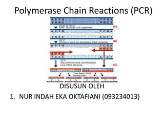 Polymerase Chain Reactions (PCR)




              DISUSUN OLEH
1. NUR INDAH EKA OKTAFIANI (093234013)
 