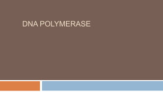 DNA POLYMERASE
 