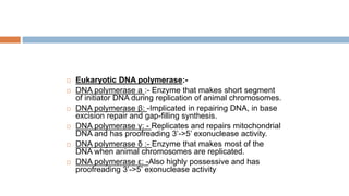  Eukaryotic DNA polymerase:-
 DNA polymerase a :- Enzyme that makes short segment
of initiator DNA during replication of animal chromosomes.
 DNA polymerase β: -Implicated in repairing DNA, in base
excision repair and gap-filling synthesis.
 DNA polymerase γ: - Replicates and repairs mitochondrial
DNA and has proofreading 3’->5’ exonuclease activity.
 DNA polymerase δ :- Enzyme that makes most of the
DNA when animal chromosomes are replicated.
 DNA polymerase ε: -Also highly possessive and has
proofreading 3’->5’ exonuclease activity
 