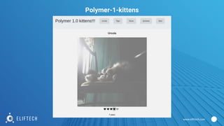 www.eliftech.com
Polymer-1-kittens
 