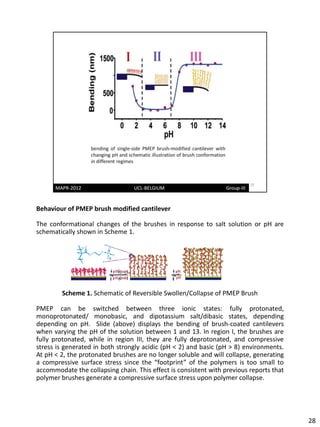 Behaviour of PMEP brush modified cantilever

The conformational changes of the brushes in response to salt solution or pH are
schematically shown in Scheme 1.




        Scheme 1. Schematic of Reversible Swollen/Collapse of PMEP Brush

PMEP can be switched between three ionic states: fully protonated,
monoprotonated/ monobasic, and dipotassium salt/dibasic states, depending
depending on pH. Slide (above) displays the bending of brush-coated cantilevers
when varying the pH of the solution between 1 and 13. In region I, the brushes are
fully protonated, while in region III, they are fully deprotonated, and compressive
stress is generated in both strongly acidic (pH < 2) and basic (pH > 8) environments.
At pH < 2, the protonated brushes are no longer soluble and will collapse, generating
a compressive surface stress since the “footprint” of the polymers is too small to
accommodate the collapsing chain. This effect is consistent with previous reports that
polymer brushes generate a compressive surface stress upon polymer collapse.




                                                                                         28
 