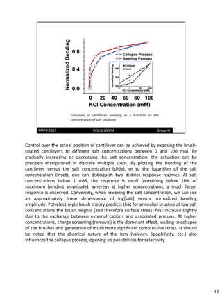 Control over the actual position of cantilever can be achieved by exposing the brush-
coated cantilevers to different salt concentrations between 0 and 100 mM. By
gradually increasing or decreasing the salt concentration, the actuation can be
precisely manipulated in discrete multiple steps. By plotting the bending of the
cantilever versus the salt concentration (slide), or to the logarithm of the salt
concentration (inset), one can distinguish two distinct response regimes. At salt
concentrations below 1 mM, the response is small (remaining below 10% of
maximum bending amplitude), whereas at higher concentrations, a much larger
response is observed. Conversely, when lowering the salt concentration, we can see
an approximately linear dependence of log[salt] versus normalized bending
amplitude. Polyelectrolyte brush theory predicts that for annealed brushes at low salt
concentrations the brush heights (and therefore surface stress) first increase slightly
due to the exchange between external cations and associated protons. At higher
concentrations, charge screening (removal) is the dominant effect, leading to collapse
of the brushes and generation of much more significant compressive stress. It should
be noted that the chemical nature of the ions (valency, lipophilicity, etc.) also
influences the collapse process, opening up possibilities for selectivity.




                                                                                          31
 