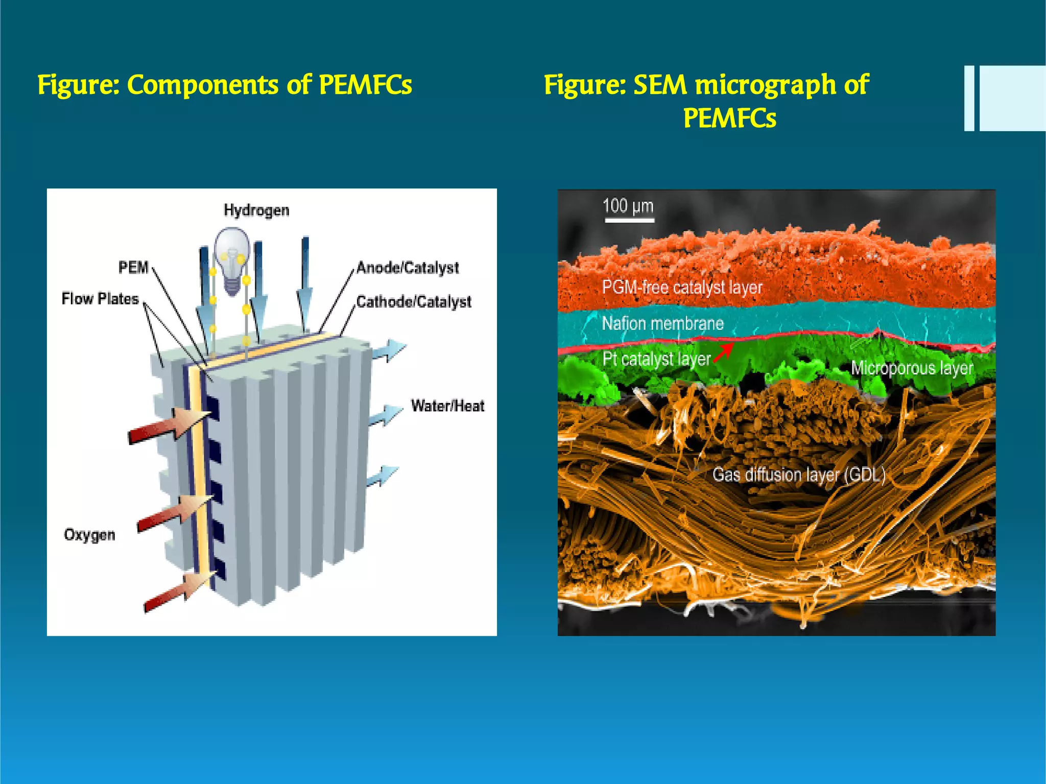 Polymer electrolytes and fuel cells | PDF
