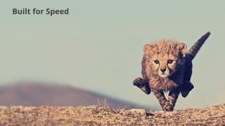 #realtimeadventures
Built for Speed
 