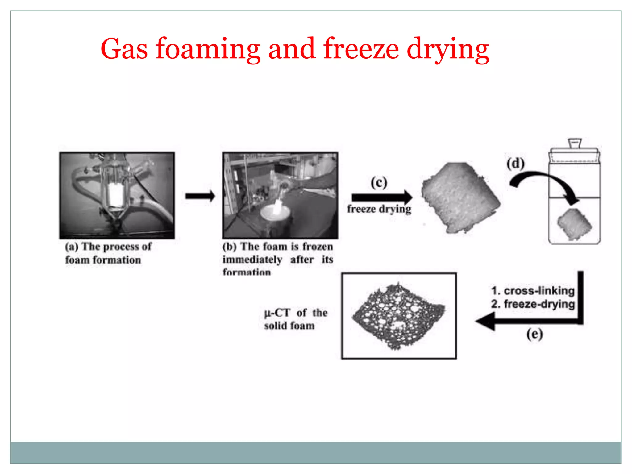 Gas foaming and freeze drying
 