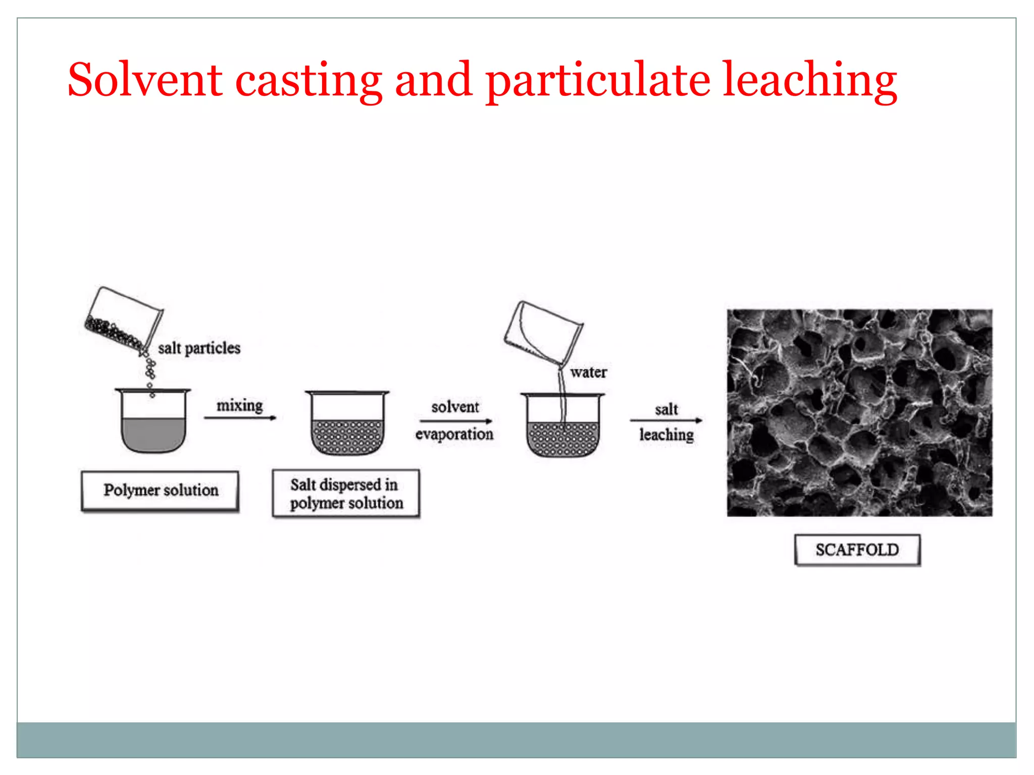 Solvent casting and particulate leaching
 