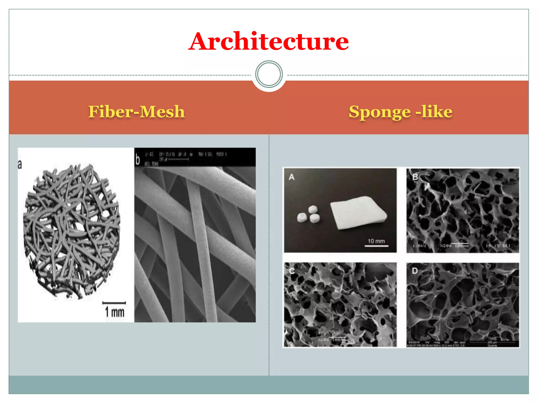 Fiber-Mesh Sponge -like
Architecture
 