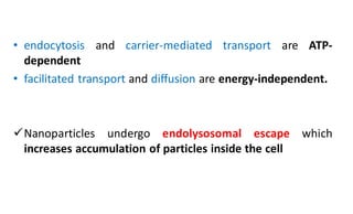 • endocytosis and carrier-mediated transport are ATP-
dependent
• facilitated transport and diffusion are energy-independent.
Nanoparticles undergo endolysosomal escape which
increases accumulation of particles inside the cell
 
