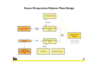 Future Perspectives: Polymer Plant Design

30

 