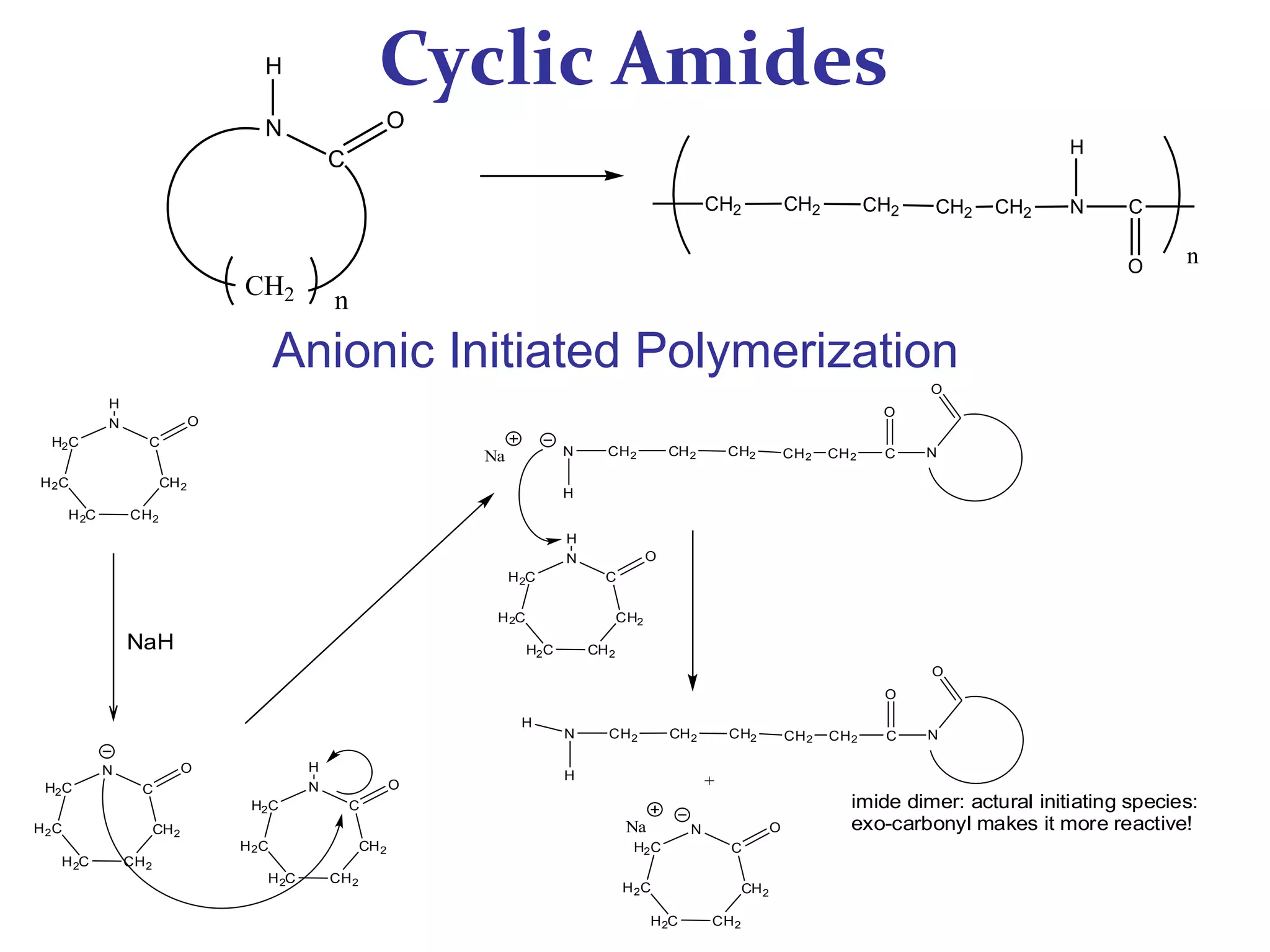 Cyclic Amides
C
N O
H
n
CH2
CH2 CH2 N CCH2CH2 CH2
H
O n
CH2 CH2 CCH2CH2 CH2N
O
N
O
H
Na
CH2
CH2
C
N
H2C
H2C
H2C
O
H
CH2 CH2 CCH2CH2 CH2N
O
N
O
H
H
CH2
CH2
C
N
H2C
H2C
H2C
O
+
imide dimer: actural initiating species:
exo-carbonyl makes it more reactive!Na
CH2
CH2
C
N
H2C
H2C
H2C
O
H
CH2
CH2
C
N
H2C
H2C
H2C
O
H
CH2
CH2
C
N
H2C
H2C
H2C
O
NaH
Anionic Initiated Polymerization
 