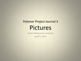 Polymer Project Journal 3
Pictures
Anson Wong Snow Leopards
April 5, 2015
 