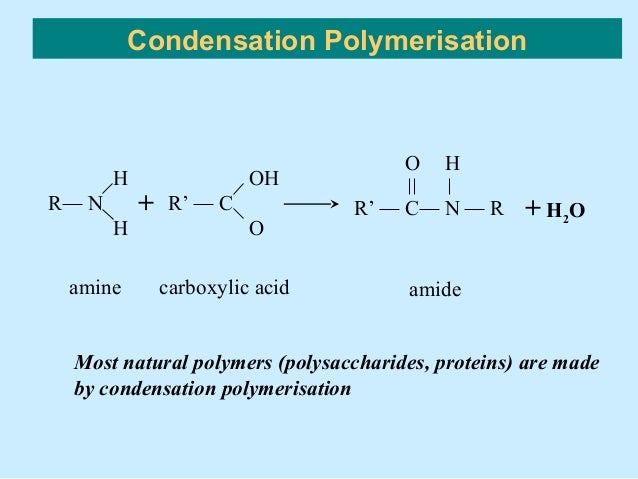 What are polymers of protein made of?