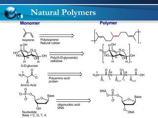 Natural Polymers 
Monomer Polymer 
Isoprene 
n 
Polyisoprene: 
Natural rubber 
O 
H 
HO 
H 
HO 
H 
H 
H OH 
OH 
OH 
Poly(ß-D-glycoside): 
cellulose 
O 
H 
O 
H 
HO 
H 
H 
H OH 
OH 
OH 
H 
n 
ß-D-glucose 
H3N 
O 
O 
R 
Polyamino acid: 
protein 
H3N 
O 
HN 
R1 
O 
HN 
Rn+1 
O 
OH 
n Rn+2 
Amino Acid 
Base 
O 
OH 
P O 
O 
O 
O 
oligonucleic acid 
DNA 
Nucleotide 
Base = C, G, T, A 
Base 
O 
O 
P O 
O 
O 
O 
DNA 
DNA 
 