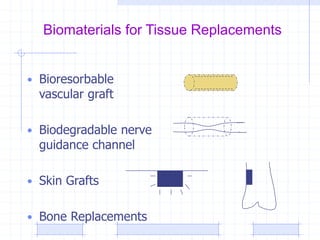 Biomaterials for Tissue Replacements
• Bioresorbable
vascular graft
• Biodegradable nerve
guidance channel
• Skin Grafts
• Bone Replacements
 