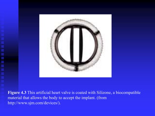Figure 4.3 This artificial heart valve is coated with Silizone, a biocompatible
material that allows the body to accept the implant. (from
http://www.sjm.com/devices/).
 