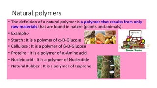 Nutrient Polymer Examples Polymers final | PDF