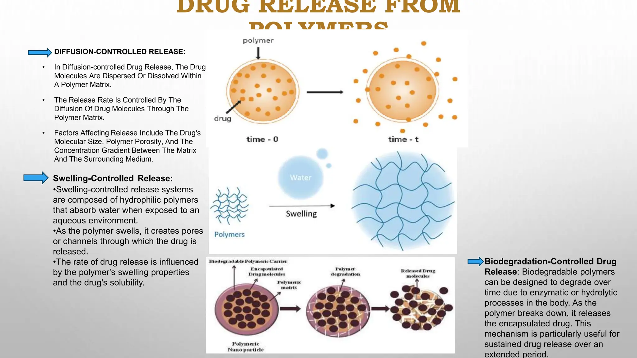 DRUG RELEASE FROM
POLYMERS
• DIFFUSION-CONTROLLED RELEASE:
• In Diffusion-controlled Drug Release, The Drug
Molecules Are Dispersed Or Dissolved Within
A Polymer Matrix.
• The Release Rate Is Controlled By The
Diffusion Of Drug Molecules Through The
Polymer Matrix.
• Factors Affecting Release Include The Drug's
Molecular Size, Polymer Porosity, And The
Concentration Gradient Between The Matrix
And The Surrounding Medium.
Swelling-Controlled Release:
•Swelling-controlled release systems
are composed of hydrophilic polymers
that absorb water when exposed to an
aqueous environment.
•As the polymer swells, it creates pores
or channels through which the drug is
released.
•The rate of drug release is influenced
by the polymer's swelling properties
and the drug's solubility.
Biodegradation-Controlled Drug
Release: Biodegradable polymers
can be designed to degrade over
time due to enzymatic or hydrolytic
processes in the body. As the
polymer breaks down, it releases
the encapsulated drug. This
mechanism is particularly useful for
sustained drug release over an
extended period.
 