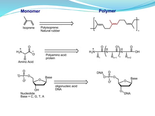 Monomer Polymer
Isoprene
n
Polyisoprene:
Natural rubber
H3N
O
O
R
Polyamino acid:
protein
H3N
O
H
N
R1
O
H
N
Rn+1
O
OH
Rn+2
n
Amino Acid
Base
O
OH
O
P
O
O
O
oligonucleic acid
DNA
Nucleotide
Base = C, G, T, A
Base
O
O
O
P
O
O
O
DNA
DNA
 