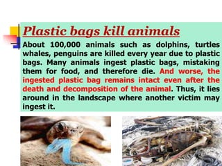 Plastic bags kill animals
About 100,000 animals such as dolphins, turtles
whales, penguins are killed every year due to plastic
bags. Many animals ingest plastic bags, mistaking
them for food, and therefore die. And worse, the
ingested plastic bag remains intact even after the
death and decomposition of the animal. Thus, it lies
around in the landscape where another victim may
ingest it.
 