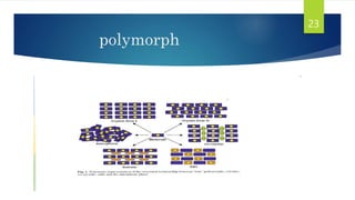 Amorphous Polymorph polymorph.pptx