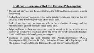 Polymorphic Rbc Polymorphic enzymes and indepth notes for it | PDF