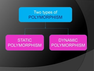 Polymorphism | PPTX