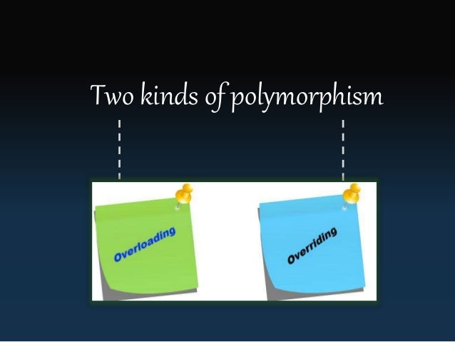Polymorphism Example Real World – FPEMZF
