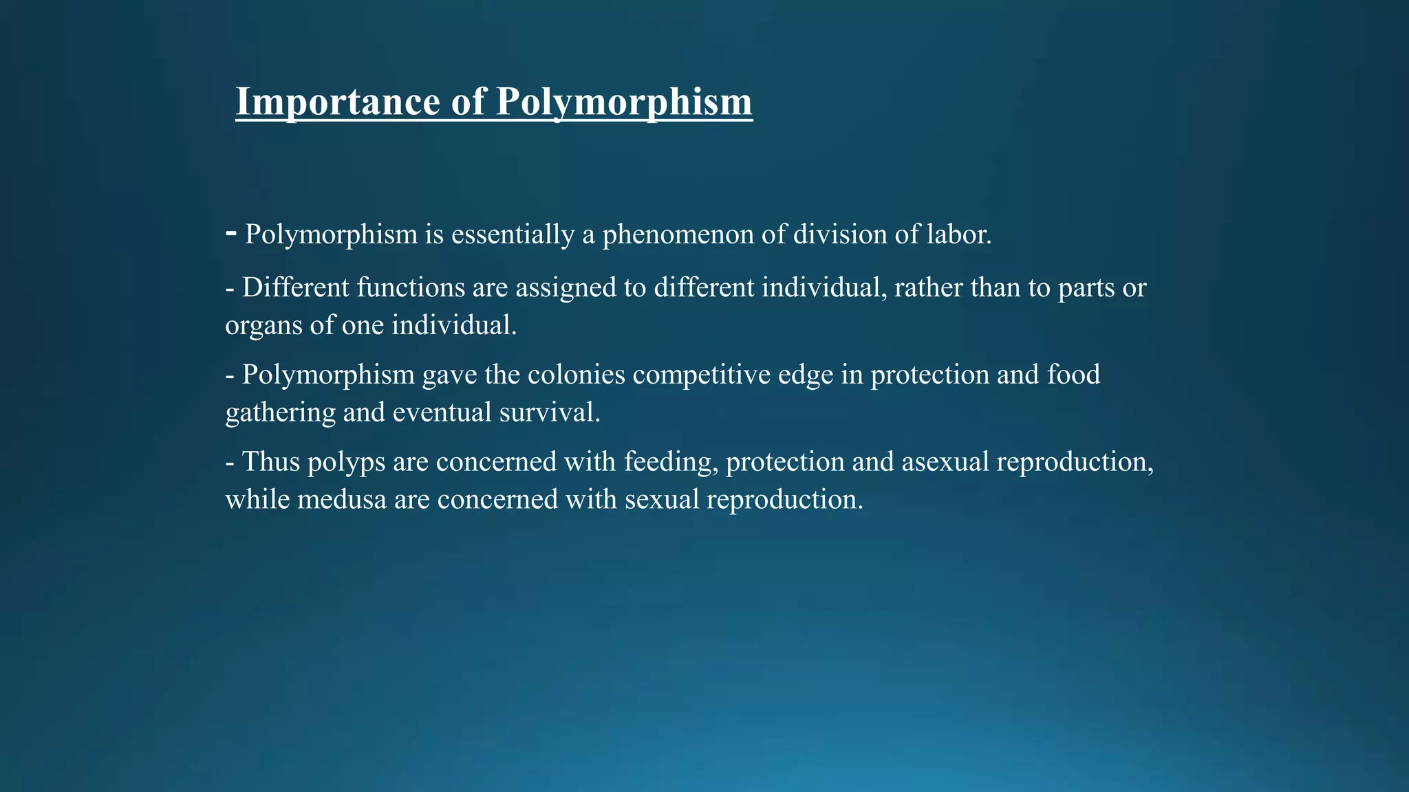 Importance of Polymorphism
- Polymorphism is essentially a phenomenon of division of labor.
- Different functions are assigned to different individual, rather than to parts or
organs of one individual.
- Polymorphism gave the colonies competitive edge in protection and food
gathering and eventual survival.
- Thus polyps are concerned with feeding, protection and asexual reproduction,
while medusa are concerned with sexual reproduction.
 