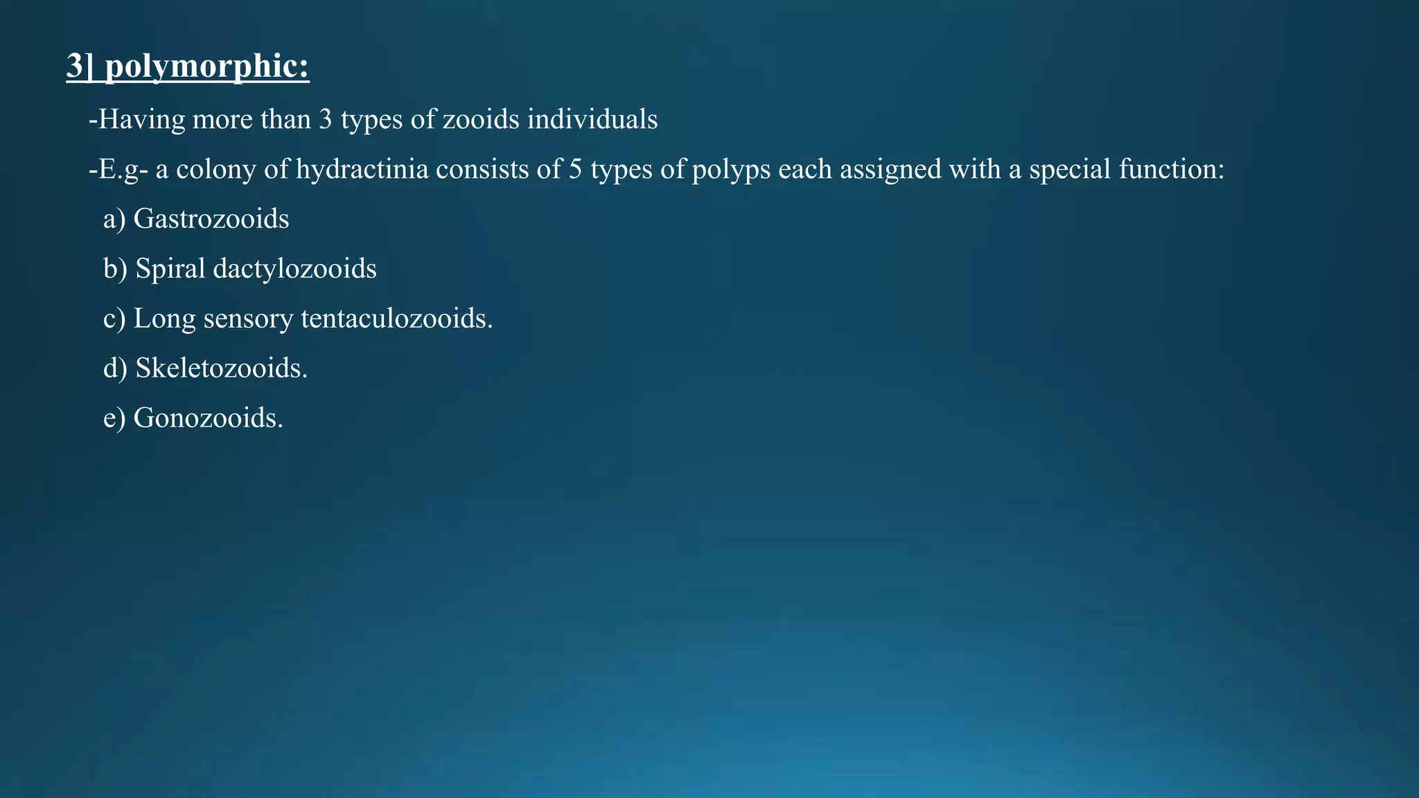3] polymorphic:
-Having more than 3 types of zooids individuals
-E.g- a colony of hydractinia consists of 5 types of polyps each assigned with a special function:
a) Gastrozooids
b) Spiral dactylozooids
c) Long sensory tentaculozooids.
d) Skeletozooids.
e) Gonozooids.
 