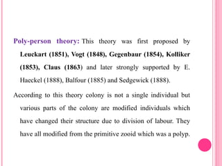 Poly-person theory: This theory was first proposed by
Leuckart (1851), Vogt (1848), Gegenbaur (1854), Kolliker
(1853), Claus (1863) and later strongly supported by E.
Haeckel (1888), Balfour (1885) and Sedgewick (1888).
According to this theory colony is not a single individual but
various parts of the colony are modified individuals which
have changed their structure due to division of labour. They
have all modified from the primitive zooid which was a polyp.
 