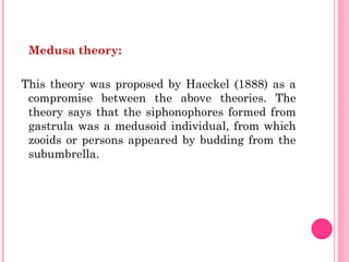 Medusa theory:
This theory was proposed by Haeckel (1888) as a
compromise between the above theories. The
theory says that the siphonophores formed from
gastrula was a medusoid individual, from which
zooids or persons appeared by budding from the
subumbrella.
 
