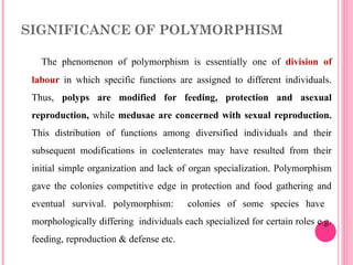 SIGNIFICANCE OF POLYMORPHISM
The phenomenon of polymorphism is essentially one of division of
labour in which specific functions are assigned to different individuals.
Thus, polyps are modified for feeding, protection and asexual
reproduction, while medusae are concerned with sexual reproduction.
This distribution of functions among diversified individuals and their
subsequent modifications in coelenterates may have resulted from their
initial simple organization and lack of organ specialization. Polymorphism
gave the colonies competitive edge in protection and food gathering and
eventual survival. polymorphism: colonies of some species have
morphologically differing individuals each specialized for certain roles e.g.
feeding, reproduction & defense etc.
 