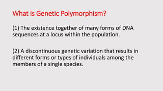 What is Genetic Polymorphism?
(1) The existence together of many forms of DNA
sequences at a locus within the population.
(2) A discontinuous genetic variation that results in
different forms or types of individuals among the
members of a single species.
 
