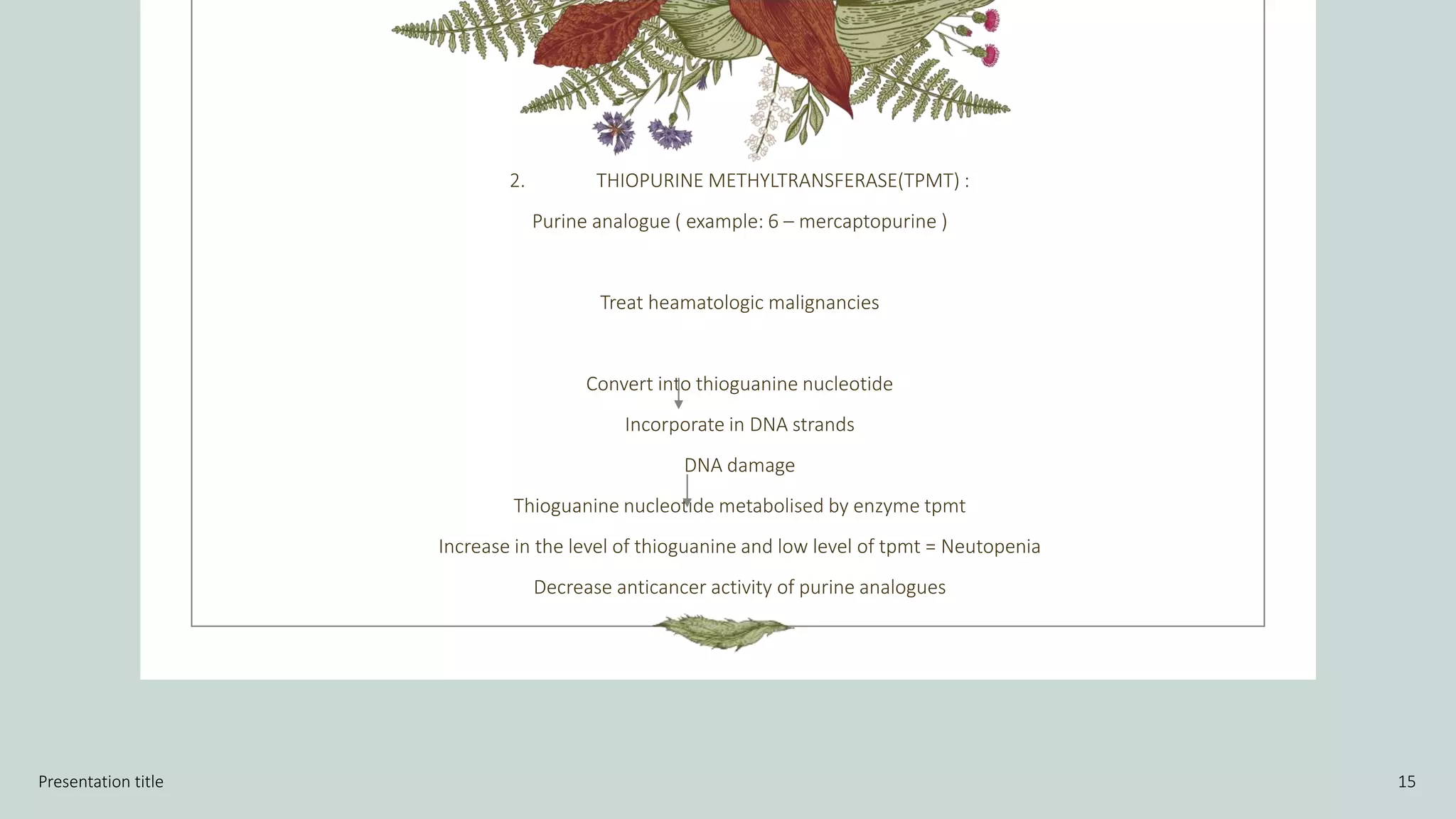 2. THIOPURINE METHYLTRANSFERASE(TPMT) :
Purine analogue ( example: 6 – mercaptopurine )
Treat heamatologic malignancies
Convert into thioguanine nucleotide
Incorporate in DNA strands
DNA damage
Thioguanine nucleotide metabolised by enzyme tpmt
Increase in the level of thioguanine and low level of tpmt = Neutopenia
Decrease anticancer activity of purine analogues
Presentation title 15
 