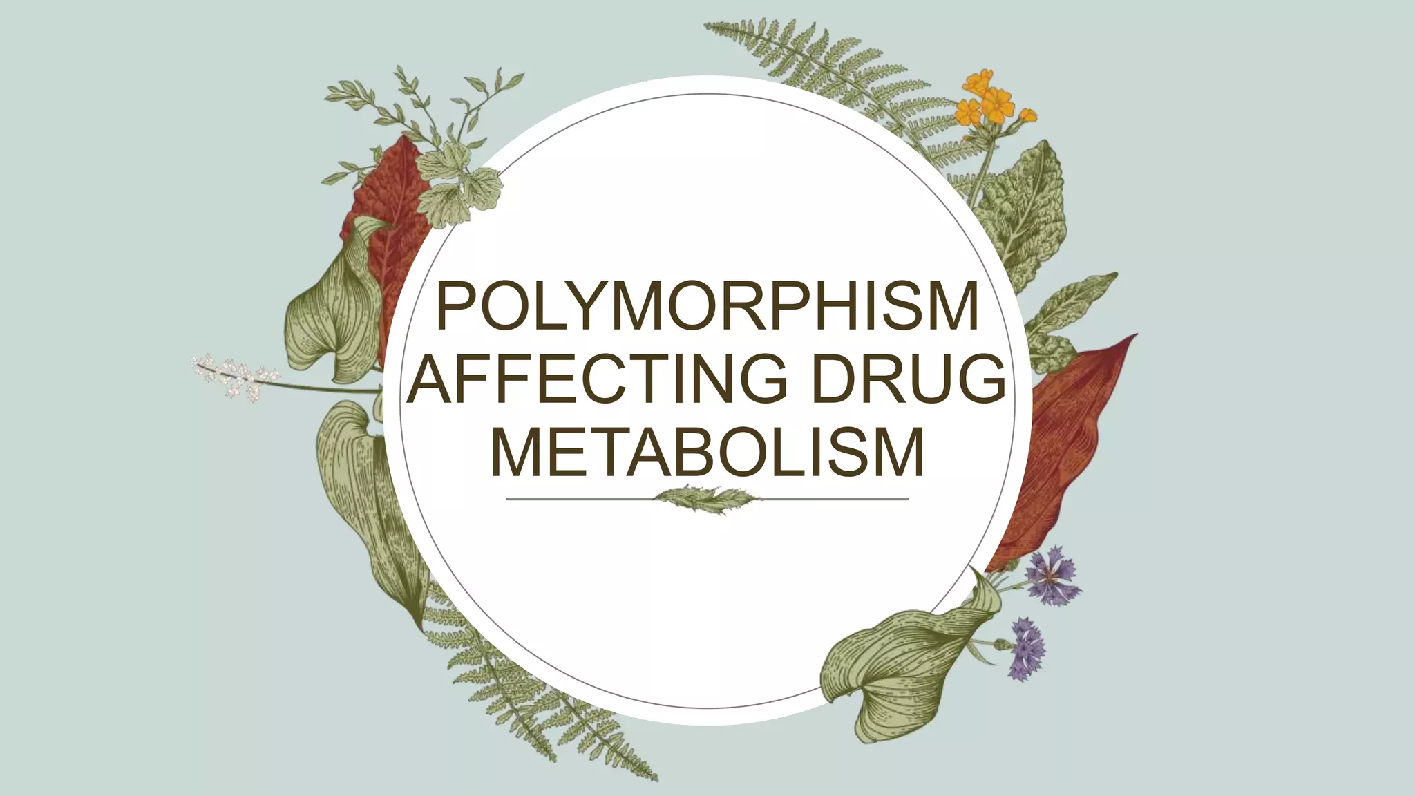 POLYMORPHISM
AFFECTING DRUG
METABOLISM
 