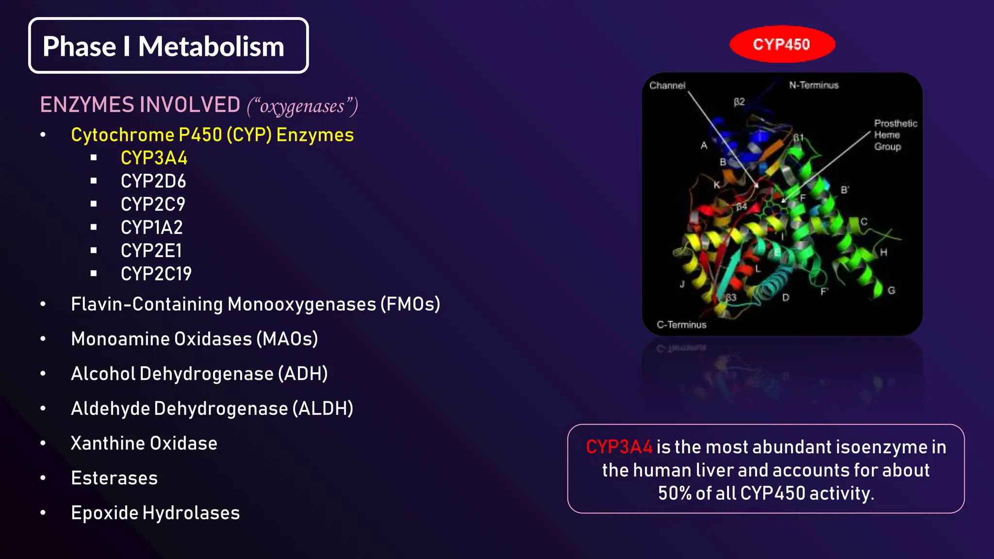 Polymorphism affecting Drug Metabolism.pptx