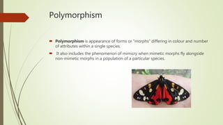 Polymorphism and polyphenism | PPTX