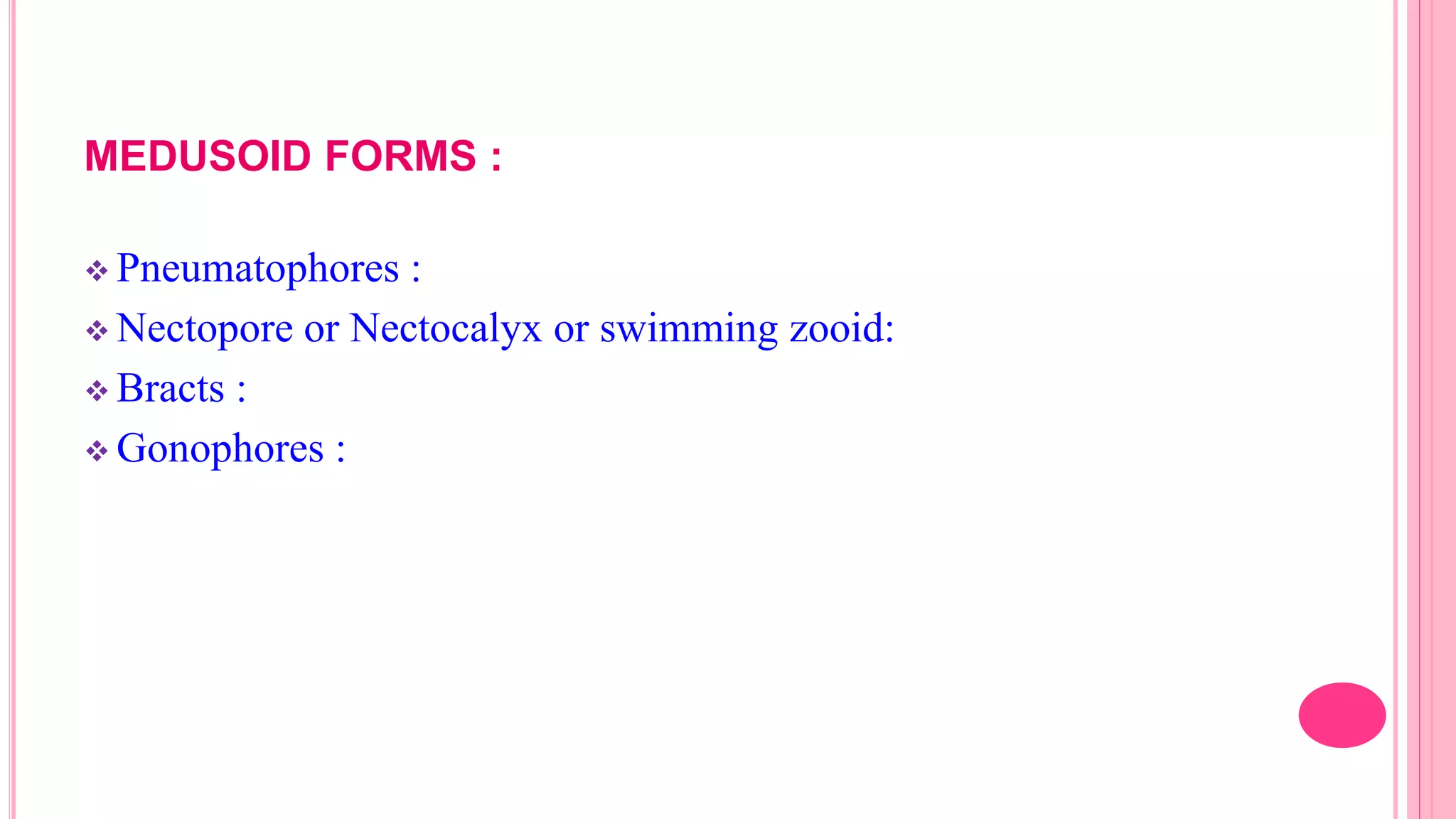 MEDUSOID FORMS :
 Pneumatophores :
 Nectopore or Nectocalyx or swimming zooid:
 Bracts :
 Gonophores :
 