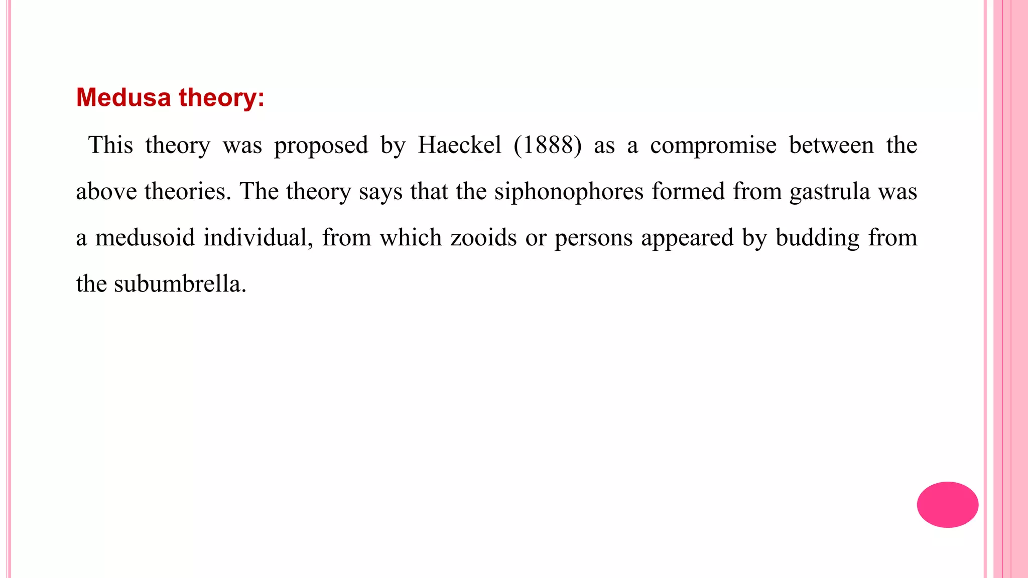 Medusa theory:
This theory was proposed by Haeckel (1888) as a compromise between the
above theories. The theory says that the siphonophores formed from gastrula was
a medusoid individual, from which zooids or persons appeared by budding from
the subumbrella.
 