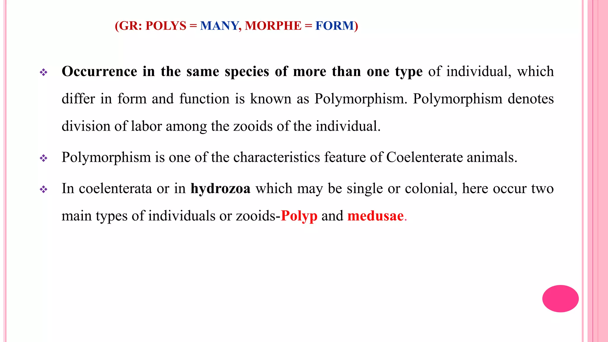 (GR: POLYS = MANY, MORPHE = FORM)
 Occurrence in the same species of more than one type of individual, which
differ in form and function is known as Polymorphism. Polymorphism denotes
division of labor among the zooids of the individual.
 Polymorphism is one of the characteristics feature of Coelenterate animals.
 In coelenterata or in hydrozoa which may be single or colonial, here occur two
main types of individuals or zooids-Polyp and medusae.
 