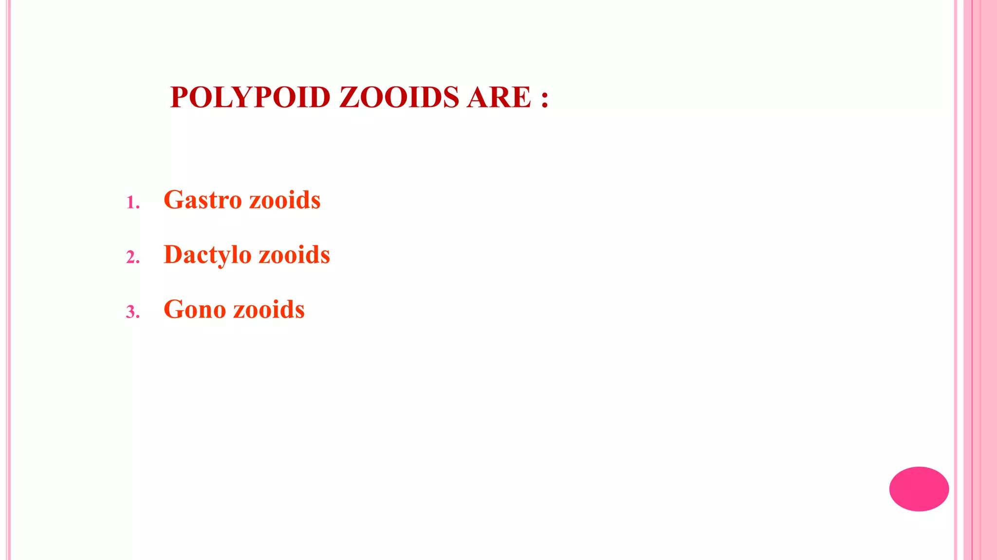 POLYPOID ZOOIDS ARE :
1. Gastro zooids
2. Dactylo zooids
3. Gono zooids
 