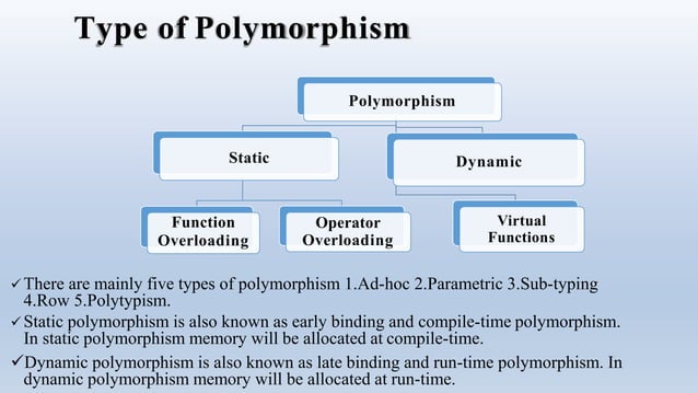 Polymorphism In c++ | PPTX | Programming Languages | Computing
